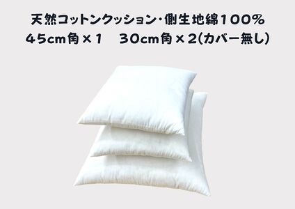寝室やリビングをおしゃれに飾るベッドクッション（無地、カバーなし）【CW123W1】