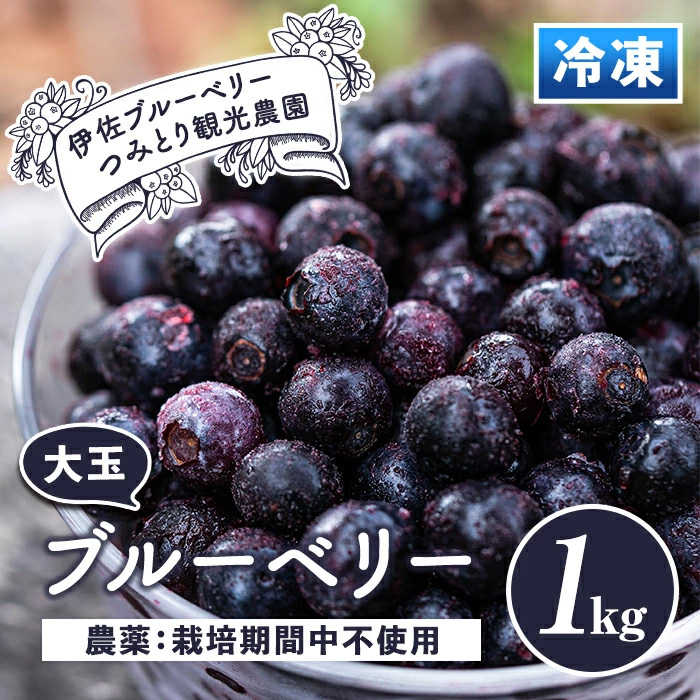 isa157 冷凍ブルーベリー(1kg) フルーツ 果物 冷凍 冷凍便 国産 大粒 ヨーグルト ジャム スムージー お菓子作り 製菓 製パン 朝食 おやつ デザート アサイーボウル グラノーラ 【伊佐ブルーベリーつみとり観光農園】