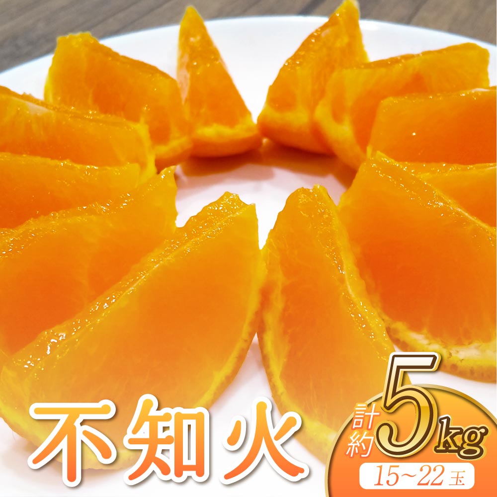 【ふるさと納税】 先行予約 不知火 約5kg (15〜22玉前後)【2026年3月上旬〜4月下旬発送予定】 しらぬい 柑橘類 みかん ミカン 蜜柑 果物 フルーツ 宇城市産 熊本県産 九州産 ひがし果樹園