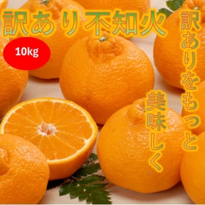 
                  ＜訳あり＞みさき果樹園の不知火10kg＜C21-61＞【1705416】
                