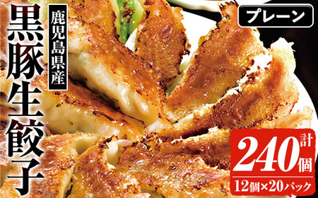 ☆大容量☆＜焼くだけ＞鹿児島黒豚生餃子 合計240個！（12個×20P）【A-1857H】