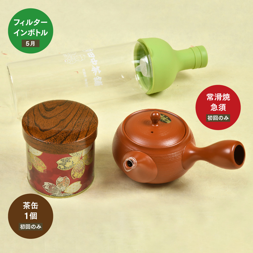 【毎月お届け12回】特上煎茶八重100g2本と季節の茶100g1本(急須付き) 【定期便 九州 お茶 緑茶 急須 フィルターインボトル 定期便】(H047124)