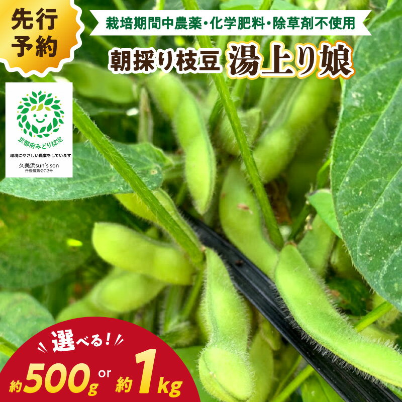 【ふるさと納税】高評価★5.0 高レビュー★【先行予約／数量限定40】朝採り枝豆（湯上り娘）500g（250g×2パック）1kg（250g×4パック）（栽培期間中農薬・化学肥料・除草剤不使用）（2026年7月上旬～発送） おつまみ 農家応援 京都産 えだまめ 朝採れ 農家直送
