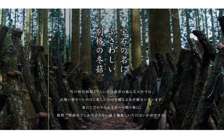 山の宝石 上どんこ 約60g 10g×6袋