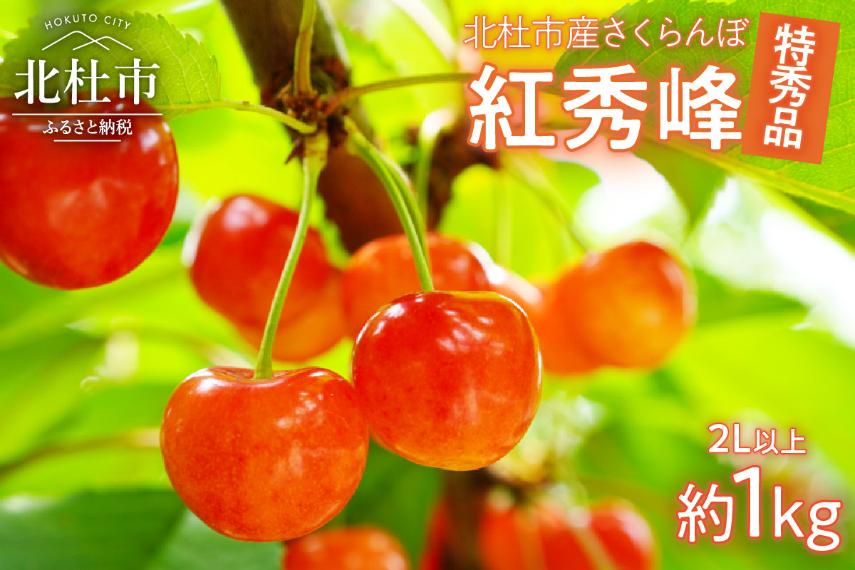 
                  【2026年発送】さくらんぼ 1000g（特秀品・2L 以上）　さくらんぼ 佐藤錦 紅秀峰 果物 くだもの フルーツ サクランボ 中嶋園 山梨県産
                