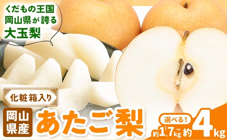 
                  【2026年先行予約】あたご梨 選べる内容量 約1.7kg (2玉) 約4kg (3-6玉) 化粧箱入り 株式会社山博《2026年11月下旬-12月下旬頃出荷》岡山県 笠岡市 なし 梨 ナシ 愛宕梨 果物 大玉 岡山県産 国産 送料無料【配送不可地域あり】
                