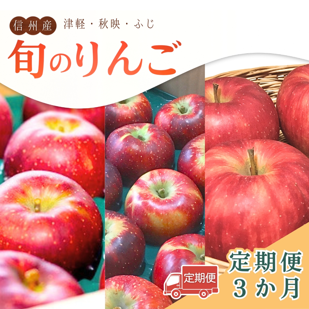 【定期便3ヶ月】旬のりんご | 信州りんご 長野りんご リンゴ 林檎 千曲市 長野県産 信州