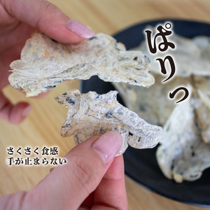 【せんべい 】うす焼きちりめん10g×8個ちりめんせんべい【HKY002】