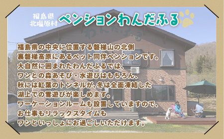 【ペンションわんだふる】犬の無添加おやつ ３種セット【中型犬用】 KBAB001