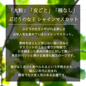 【先行予約】数量限定【岩手県産ぶどう】シャインマスカット約1kg （AR006-1）