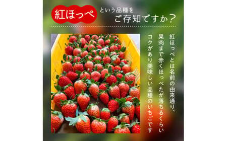 【2月発送】紅ほっぺ/270g×8パック(4パック入り2箱)