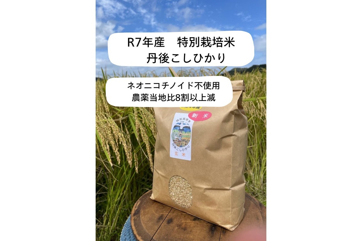 
            【先行予約】令和7年産　丹後こしひかり　玄米5kg【特別栽培米】新米　KU00065
          