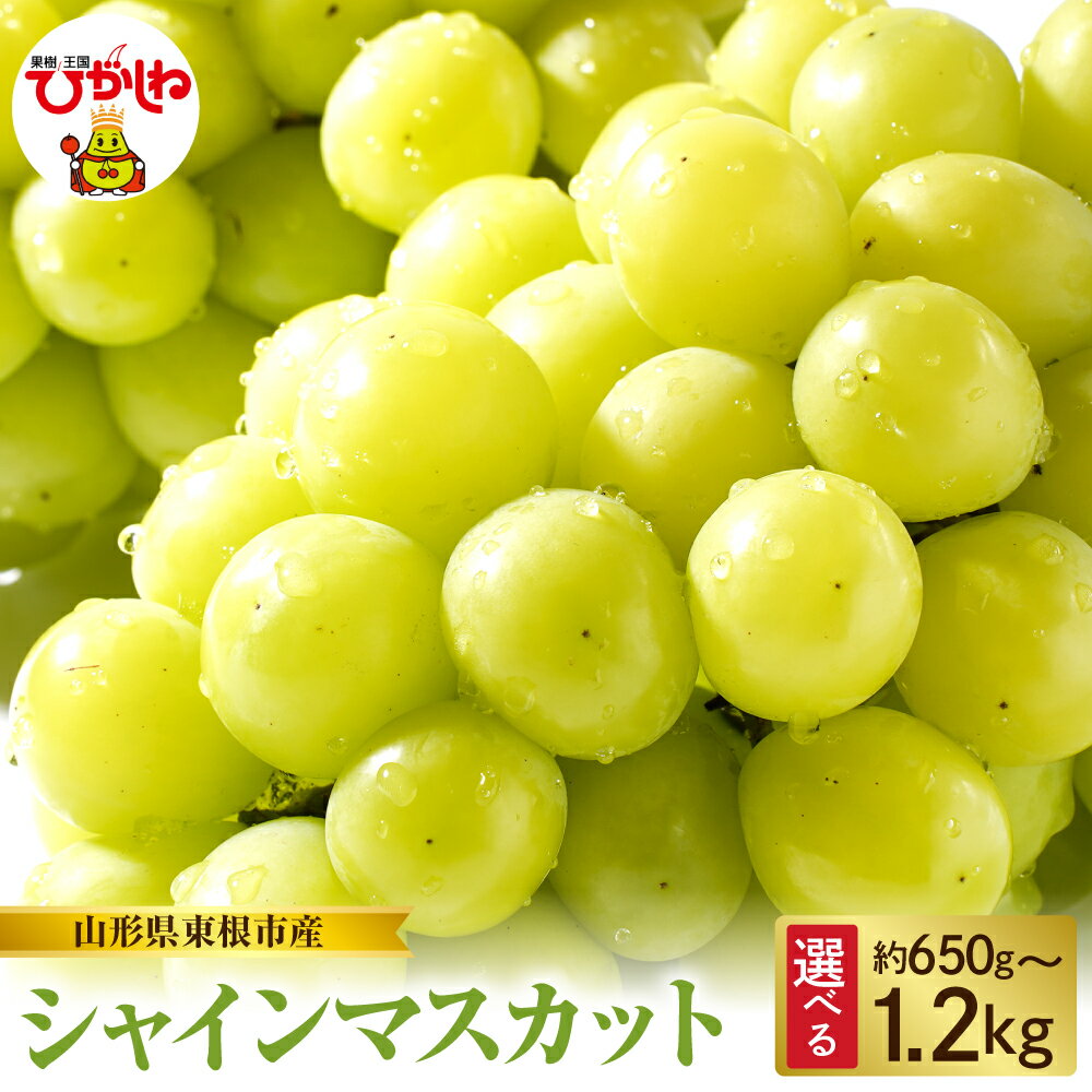 【ふるさと納税】 2026年産 先行予約 ぶどう シャインマスカット ( 選べる内容量 : 約650g / 約850g / 約1kg / 約1.2kg ) シャイン マスカット フルーツ 果物 くだもの 期間限定 お取り寄せ グルメ ご当地 特産 産地 直送 送料無料 東北 山形県 東根市