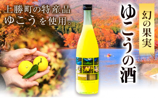 ゆこう の 酒 リキュール 8度 720ml 1本 幻の果実 柚香 株式会社高鉾建設 酒販事業部 《30日以内に出荷予定(土日祝除く)》 徳島県 上勝町 お酒 アルコール 果汁 炭酸割り ロック 国産 ギフト 贈答 柑橘(F)