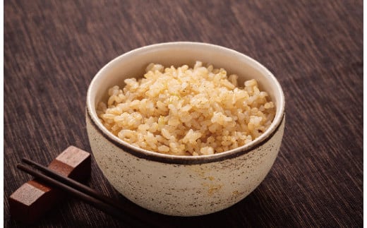 【先行予約】令和7年産 特Aランク米 ななつぼし 玄米 5kg（5kg×1袋）【6月発送】 雪冷気 籾貯蔵 雪中米 北海道 nr-1132