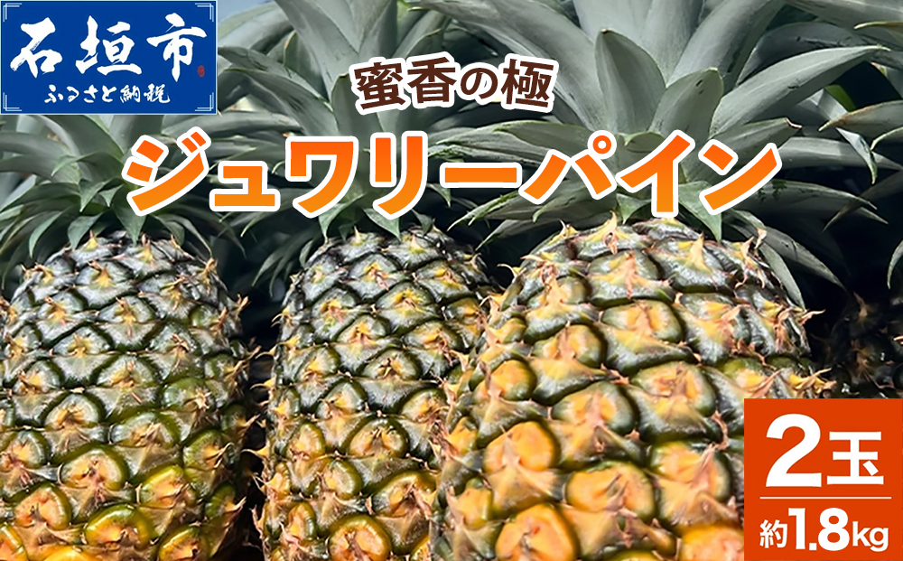 《2027年6月以降順次発送》蜜香の極 ジュワリーパイン 2玉 約1.8kg【 沖縄県 石垣市 石垣島 完熟 パイン パイナップル ジュワリー 予約受付 】TF-016 2玉 約1.8kg