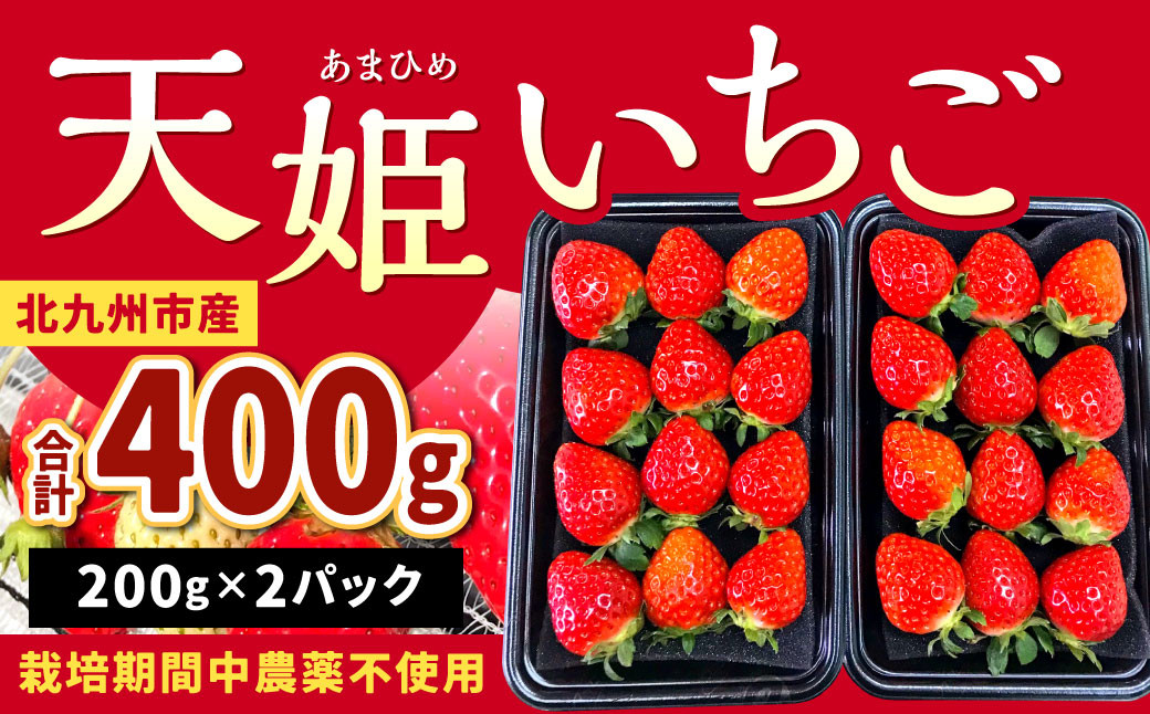 
            【栽培期間中農薬不使用】天姫（あまひめ）イチゴ 200g×2パック 合計400g 【2025年2月上旬～3月下旬発送予定】いちご 苺 フルーツ 果物 くだもの 福岡県 北九州市
          