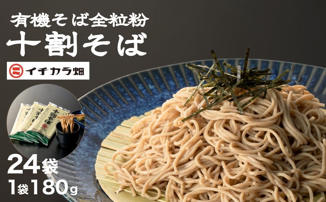有機JAS認証 有機そば全粒粉100％使用 グルテンフリー 十割そば 乾麺 180g×24個入り イチカラ畑 | 蕎麦 ソバ 乾麺 十割 10割 全粒粉 無添加 オーガニック 無農薬栽培 1ケース お