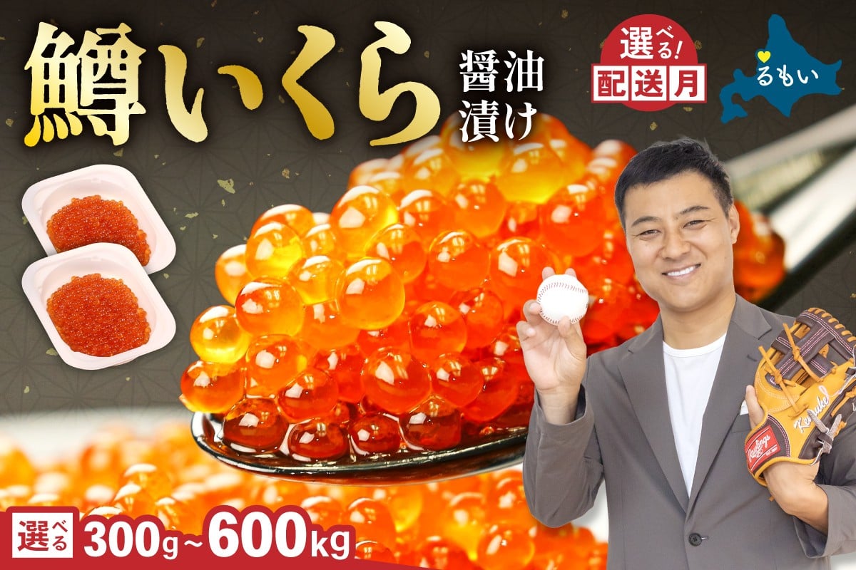 
                  【選べる量・配送月】いくら 醤油漬（鱒卵）300g/600g　人気 魚卵 高級 醤油漬け 小分け 北海道 ごはんのお供 海鮮 魚卵  魚貝類 保管便利 小分けタイプ いくら醤油漬  おせち  R001-022-O
                