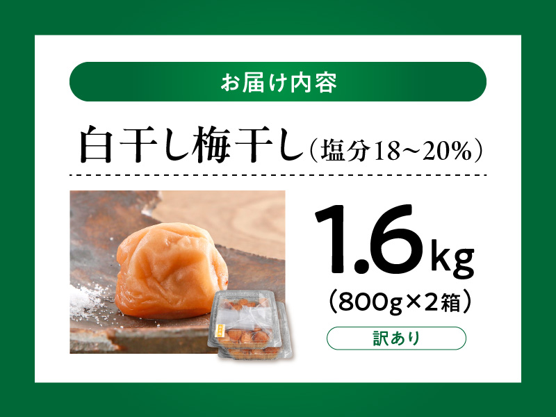 V7469_【800g×2箱セット】【ご家庭用】訳あり白干し梅干し 計1.6Kg 紀州南高梅 和歌山県産/紀伊国屋文左衛門本舗 うめぼし 南高梅