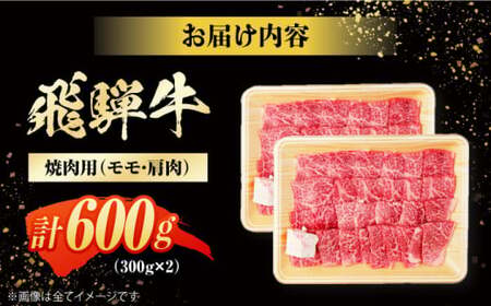 飛騨牛 焼肉用 モモ・肩肉 600g（300g×2）/ 焼肉 牛肉 和牛 / 白川町 / 浅井商店[AWBJ001]