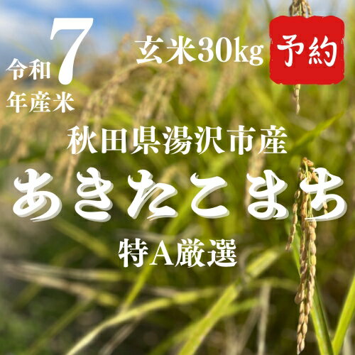 【ふるさと納税】【先行予約】令和7年産特A秋田県産あきたこまち玄米30kg[F2304]