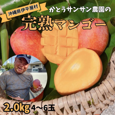 
                  ＜2026年7月頃発送＞離島の恵み　完熟マンゴー2.0kg【1573531】
                
