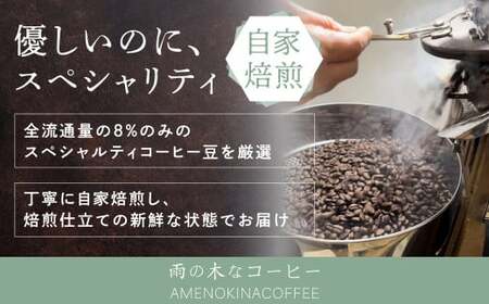 【雨の木なコーヒー】 スペシャルティコーヒー ドリップバッグ 24個セット