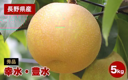 長野県産 溢れる果汁 ジューシーな 梨 ( 幸水 ・ 豊水 ) 約5キロ 秀品〈2025年8月下旬～9月下旬発送〉| 果物 くだもの フルーツ 梨 なし 幸水 豊水 長野県 信州 南信州 飯田市