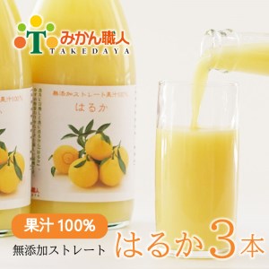 無添加 はるか ジュース 1000ml 3本 ストレート 果汁 100% 柑橘 果物 国産 フルーツ 蜜柑 みかん ビタミン 美味しい みかん職人武田屋 愛媛県 愛南町 発送：2024年2月以降