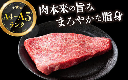 【全12回定期便】【A4～A5】長崎和牛モモステーキ　約500g（100g×5p）【株式会社 MEAT PLUS】[DBS132]
