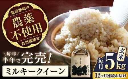 【令和7年産新米】【全12回】米 ミルキークイーン 5kg 玄米 自然栽培米 [AQCP017]