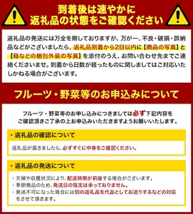 ＜先行予約！2026年12月上旬以降順次発送予定＞香川県産 温州みかん(約10kg/サイズミックス) 国産 果物 フルーツ ミカン 柑橘 新鮮 【man119-B】【Aglio nero】