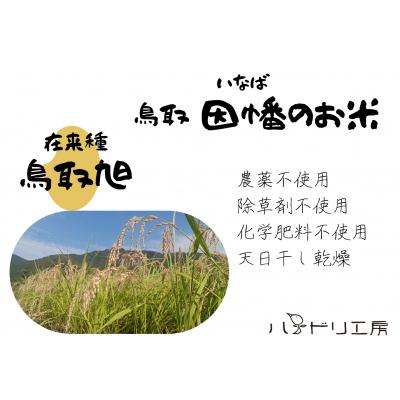 ふるさと納税 八頭町 【令和7年産新米】農家直送　自然栽培米「鳥取旭」5kg(玄米)