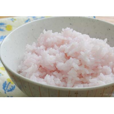 ふるさと納税 佐世保市 桜咲く米 |  | 02