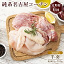 【ふるさと納税】純系名古屋コーチン 定期便 (半羽×6回)｜コーチン 鶏肉 鳥肉 とり肉 塊肉 定期便【0604】