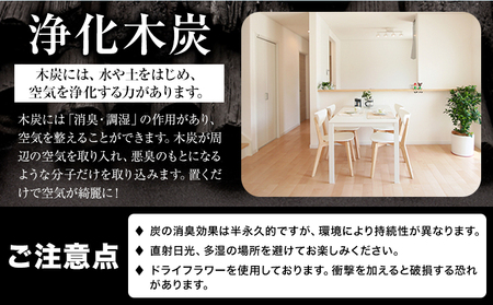 浄化木炭 バケツ飾り炭 1個 MLoop(エムループ) 株式会社浦幌木炭 浦幌木炭 飾り炭 消臭効果 st-p