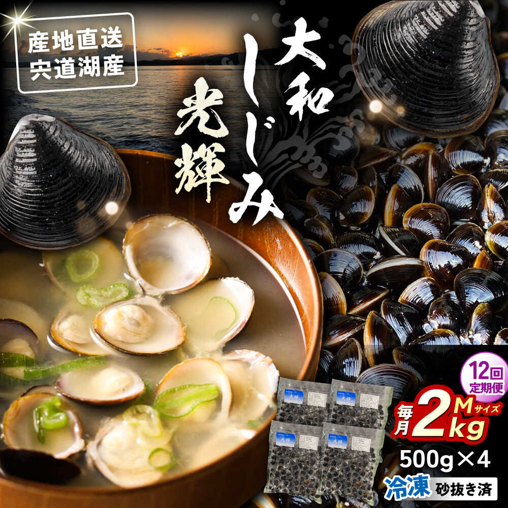 【ふるさと納税】【全12回定期便】産地直送！宍道湖産 冷凍大和しじみMサイズ2kg(500g×4) 砂抜き処理済 島根県松江市/りすたむmatsue[ALDE009]