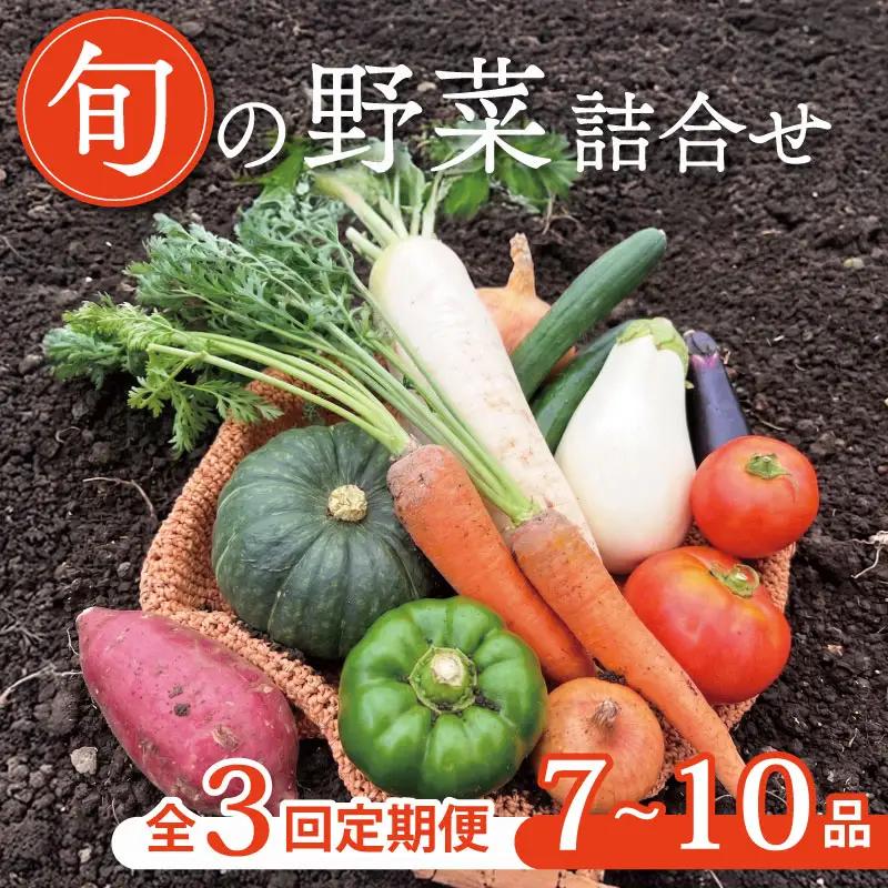 【定期便3回】京野菜セット 7~10種  定期便 スペシャルコース 野菜定期便