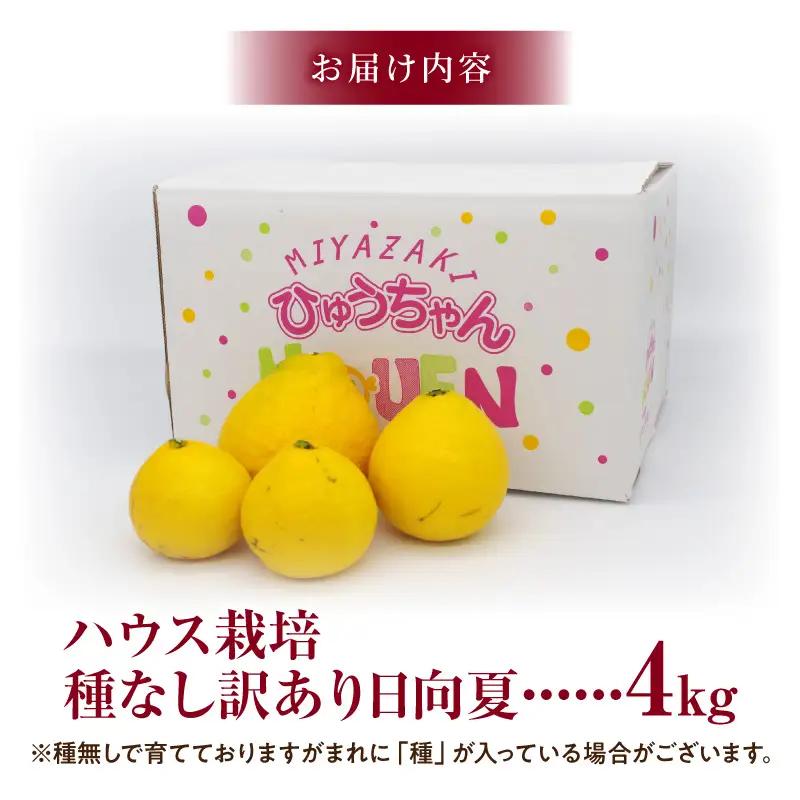 日向夏 種無し 日向夏[訳あり 4kg 2027年発送先行予約]