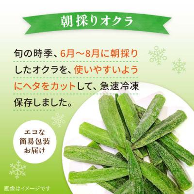 ふるさと納税 糸島市 オクラ500g 冷凍 旬の時期に急速冷凍 福岡県糸島産 オーガニックナガミツファーム[AGE044] |  | 01