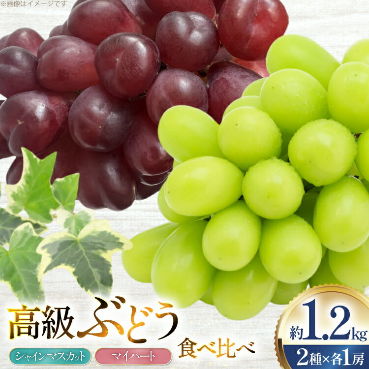 【ふるさと納税】【期間限定発送】 ぶどう 食べ比べ 高級ぶどう シャインマスカット マイハート 各1房 約1.2kg 詰め合わせ セット [tk06ays830009 山形県 高畠町 安達敏幸] 箱詰め フルーツ 果物 くだもの ぶどう ブドウ 葡萄 1.2キロ 甘い