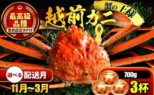 【先行予約】 【1月配送】 越前がに 700ｇ×3杯 小浜市 / まるほ商店 【配送不可地域：北海道・沖縄・離島】[BFCS023-1]