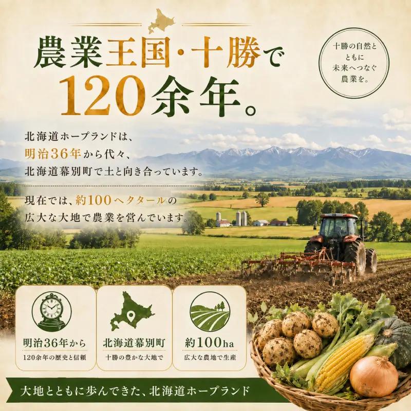 先行予約 2026年 黄とうもろこし 18～20本 とうもろこし