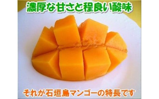 濃厚な甘さ、ジューシーさ、酸味もあります。