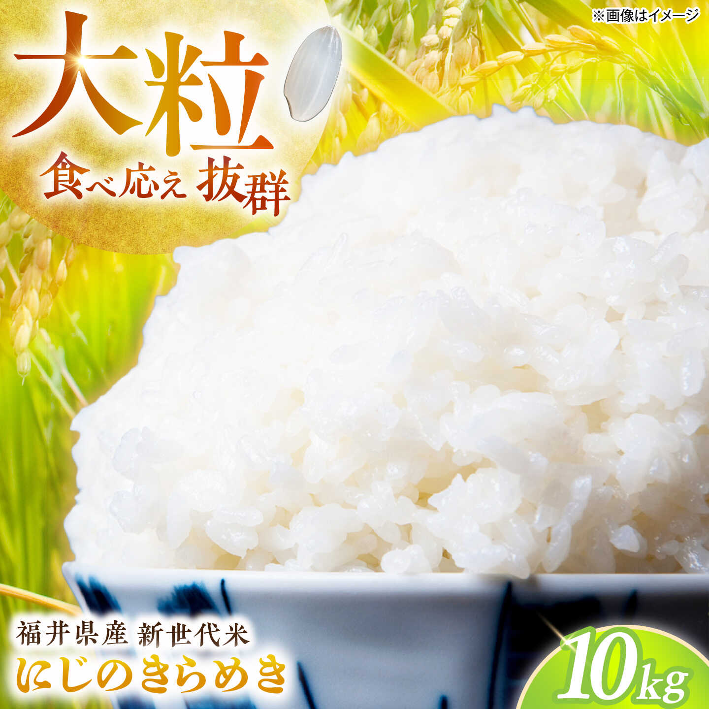 【ふるさと納税】【先行予約/10月以降配送】【令和8年産】福井県 小浜産 にじのきらめき 米 10kg 小浜市 / GrowFarm [BFDI004]
