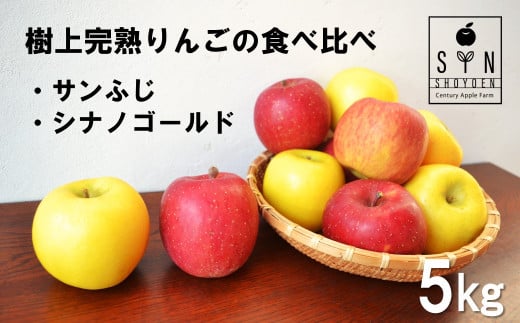 【 令和7年産 先行予約 】 松陽園 樹上 完熟 りんご 食べ比べ セット サンふじ シナノゴールド 5kg　岩手県遠野市 農家直送  【2025年11月中旬ごろから発送予定】