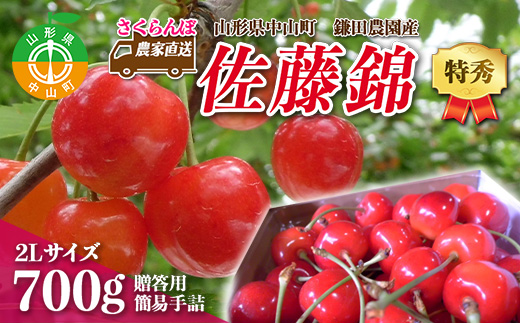 《2025年度先行受付》 農家直送 山形県中山町産 さくらんぼ佐藤錦 【特秀】2L 贈答用 簡易手詰 700g 期間限定 数量限定 鎌田農園 果物 くだもの フルーツ サクランボ F4A-0092