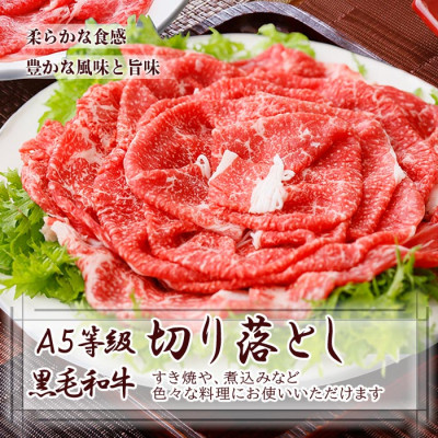 A5等級黒毛和牛すき焼き用500g A3-124【配送不可地域：離島】【1166306】