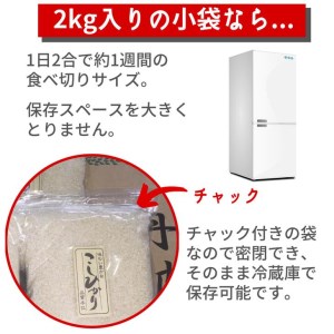 【定期便】米 6kg 12ヶ月 京都丹波米 こしひかり 白米 12回定期便 6kg （2kg×3袋） × 12回 計72kg ※精米したてをお届け《小分け 小袋 チャック付 米・食味鑑定士 厳選 コシ